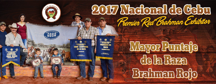 slide-awards-mexico-2017